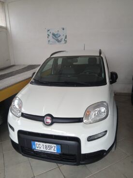 FIAT PANDA 1200 GPL CITY LIFE