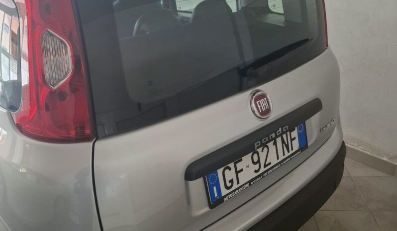 FIAT PANDA 1.0 70cv S&S Hybrid E6d-T Easy pieno